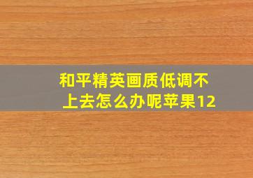 和平精英画质低调不上去怎么办呢苹果12