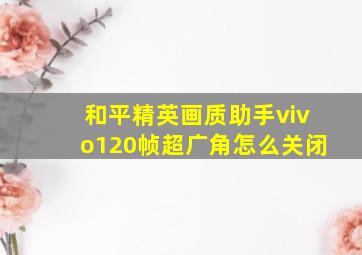 和平精英画质助手vivo120帧超广角怎么关闭