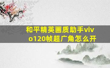 和平精英画质助手vivo120帧超广角怎么开