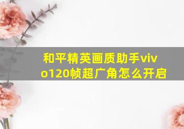 和平精英画质助手vivo120帧超广角怎么开启