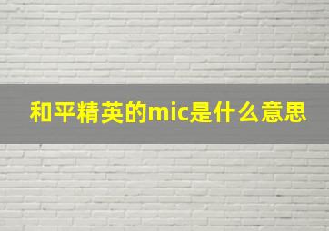 和平精英的mic是什么意思