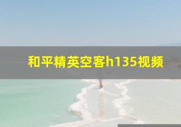 和平精英空客h135视频