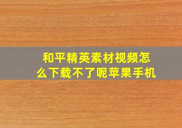 和平精英素材视频怎么下载不了呢苹果手机