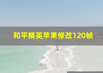 和平精英苹果修改120帧