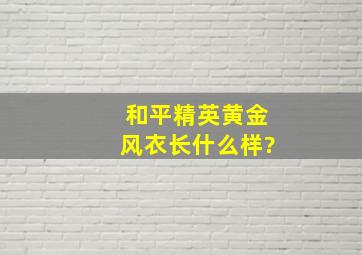 和平精英黄金风衣长什么样?