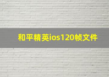 和平精英ios120帧文件