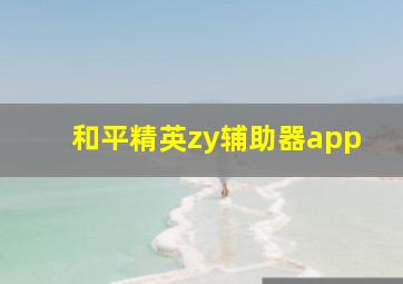 和平精英zy辅助器app