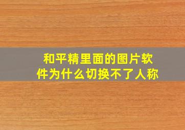 和平精里面的图片软件为什么切换不了人称