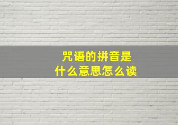 咒语的拼音是什么意思怎么读