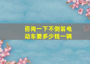 咨询一下不倒翁电动车要多少钱一辆