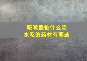 咳嗽最怕什么汤水吃的药材有哪些