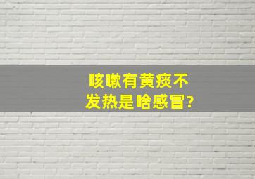 咳嗽有黄痰不发热是啥感冒?