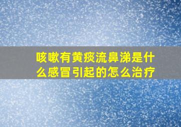 咳嗽有黄痰流鼻涕是什么感冒引起的怎么治疗