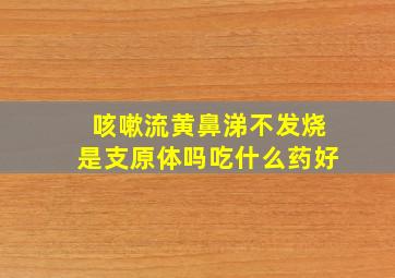 咳嗽流黄鼻涕不发烧是支原体吗吃什么药好