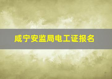 咸宁安监局电工证报名