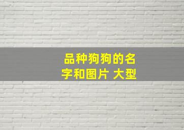 品种狗狗的名字和图片 大型