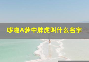 哆啦A梦中胖虎叫什么名字