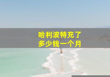 哈利波特充了多少钱一个月