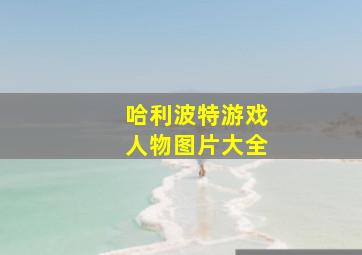 哈利波特游戏人物图片大全