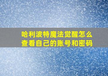 哈利波特魔法觉醒怎么查看自己的账号和密码