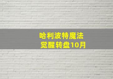 哈利波特魔法觉醒转盘10月