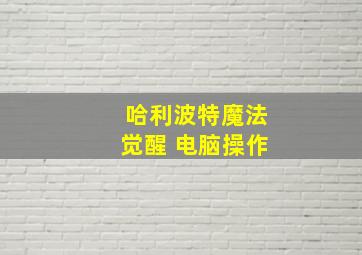 哈利波特魔法觉醒 电脑操作