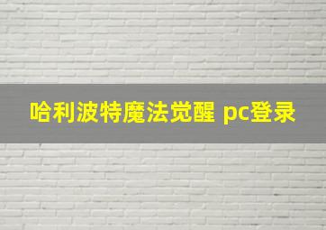 哈利波特魔法觉醒 pc登录