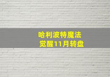 哈利波特魔法觉醒11月转盘