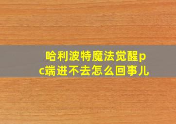 哈利波特魔法觉醒pc端进不去怎么回事儿