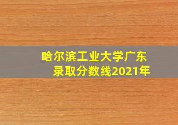 哈尔滨工业大学广东录取分数线2021年