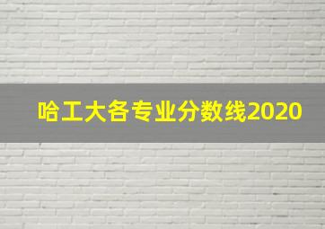 哈工大各专业分数线2020