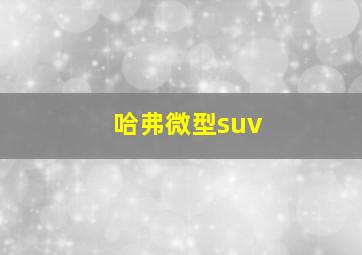 哈弗微型suv