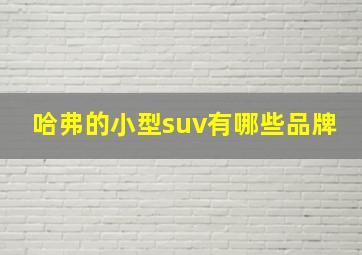 哈弗的小型suv有哪些品牌