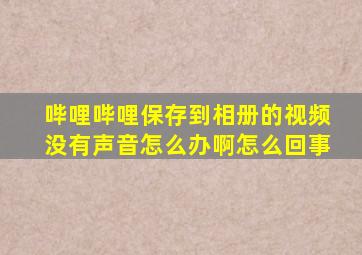 哔哩哔哩保存到相册的视频没有声音怎么办啊怎么回事