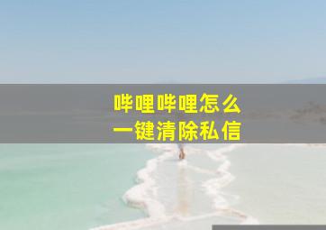 哔哩哔哩怎么一键清除私信