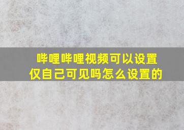 哔哩哔哩视频可以设置仅自己可见吗怎么设置的