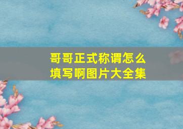 哥哥正式称谓怎么填写啊图片大全集