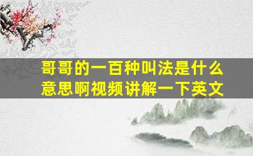 哥哥的一百种叫法是什么意思啊视频讲解一下英文