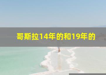 哥斯拉14年的和19年的