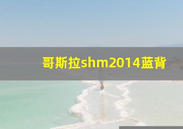 哥斯拉shm2014蓝背