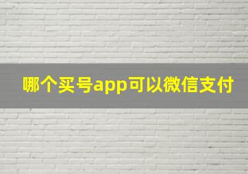 哪个买号app可以微信支付