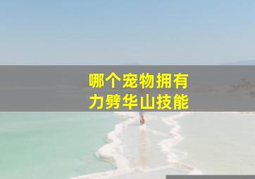 哪个宠物拥有力劈华山技能