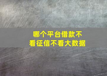 哪个平台借款不看征信不看大数据