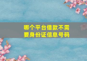 哪个平台借款不需要身份证信息号码