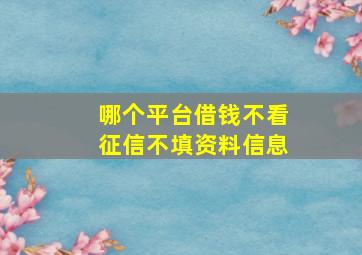 哪个平台借钱不看征信不填资料信息