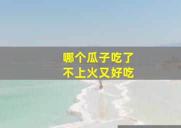 哪个瓜子吃了不上火又好吃