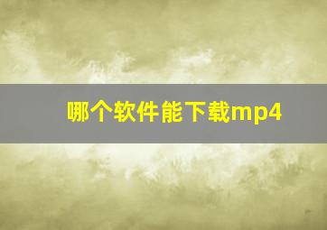 哪个软件能下载mp4