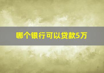 哪个银行可以贷款5万