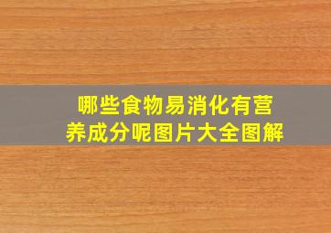 哪些食物易消化有营养成分呢图片大全图解