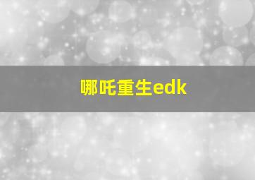 哪吒重生edk